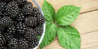 6-manfaat-buah-blackberry-bagi-kesehatan-kaya-nutrisi-dan-baik-untuk-otak.jpg