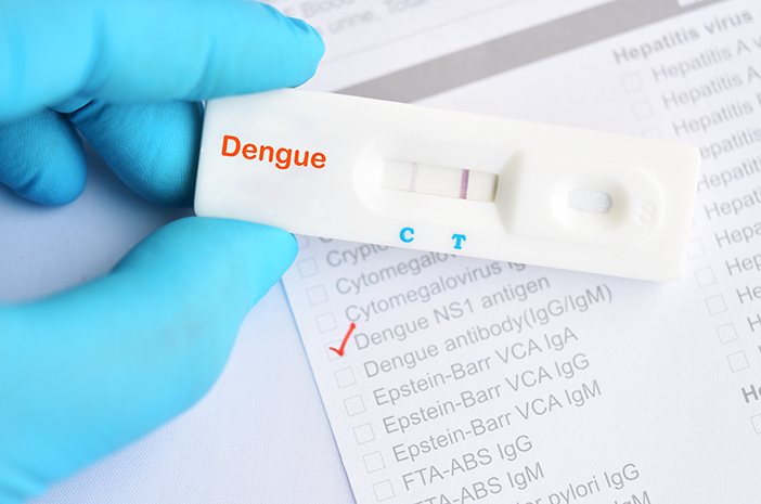Tes-Antigen-NS1-Dengue-Rapid.jpg