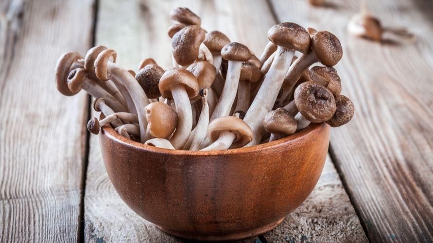 mengenal-jamur-shimeji-jamur-dari-asia-timur-yang-kaya-manfaat-1621432423.jpg