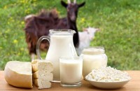 5-manfaat-susu-kambing-bagi-kesehatan.jpeg