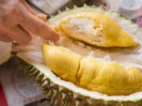 durian_43.jpeg